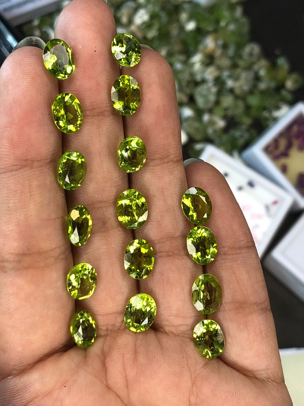 31 Carats Oval Shape Green Peridot Loose Stones