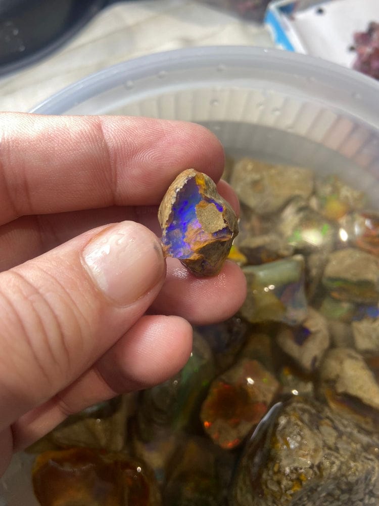 Welo opal rough lapidary