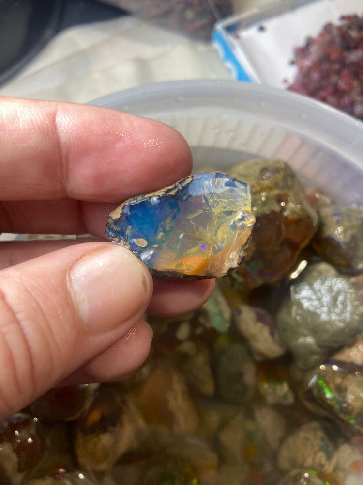 Buy This Rough Opals 