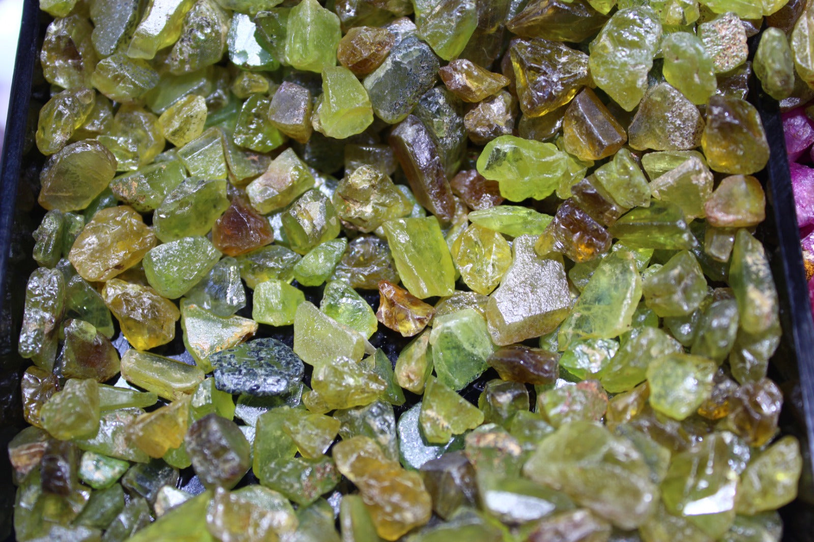 A collection of greenish Apatite stones rough cut and displayed for cabbing or carving.