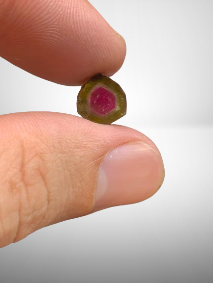300 carats Bi Color Watermelon Tourmaline Slices