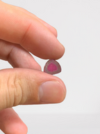 300 carats Bi Color Watermelon Tourmaline Slices