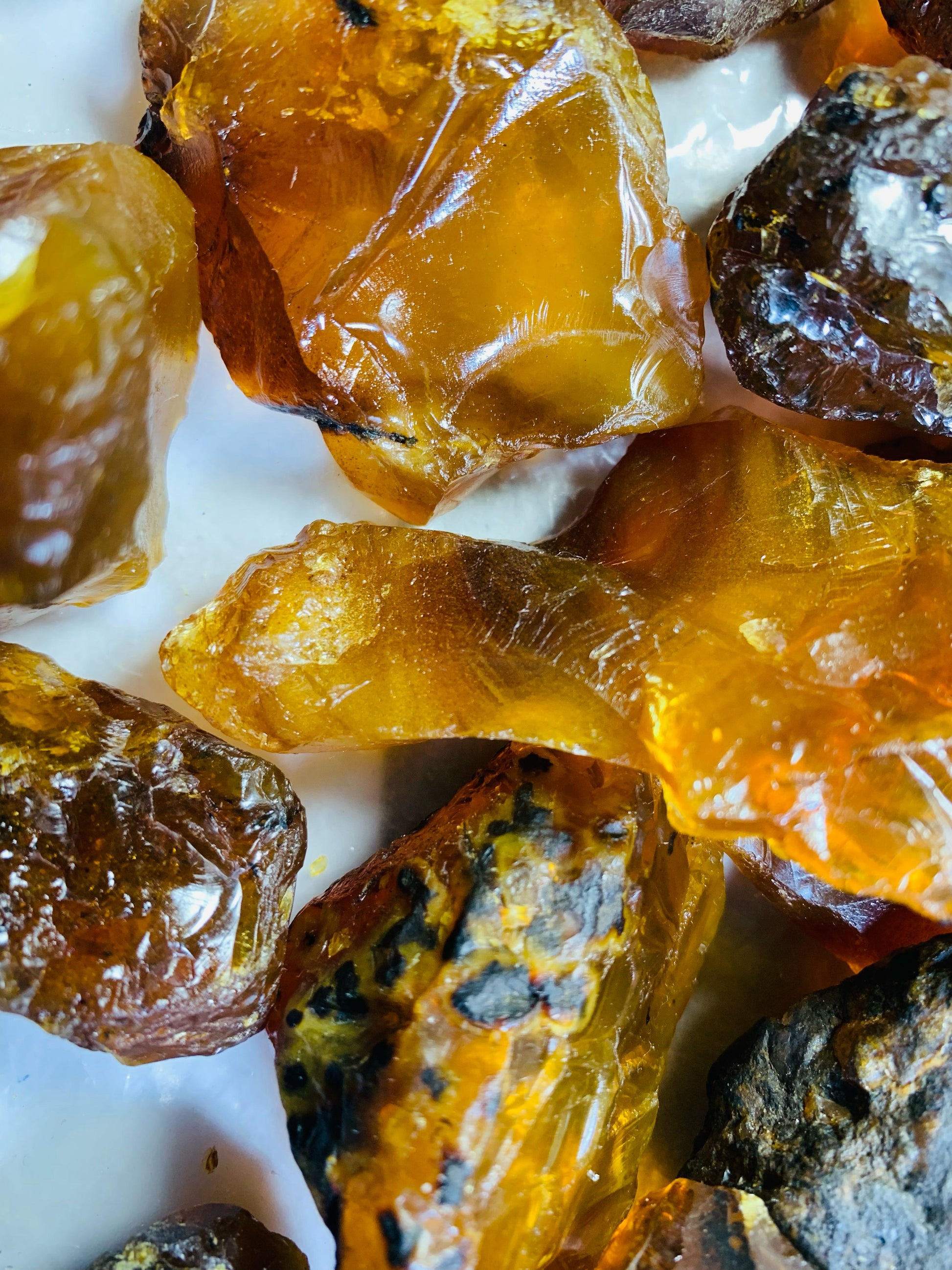 #AmberCollector  