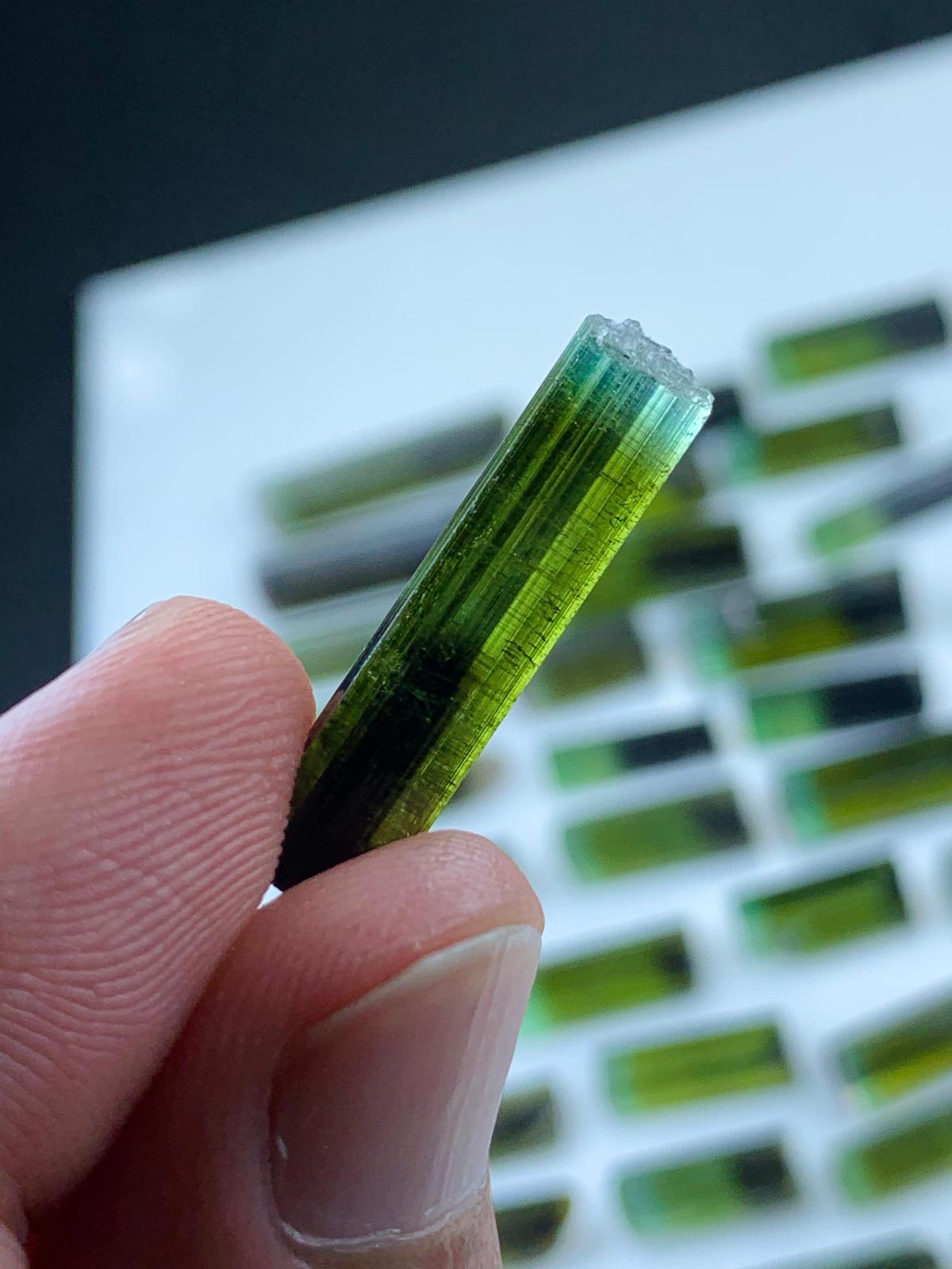 raw bicolor tourmaline