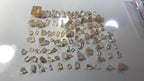 Katlang topaz rough