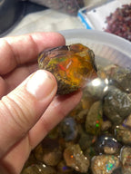 buy hydrophane opal rough