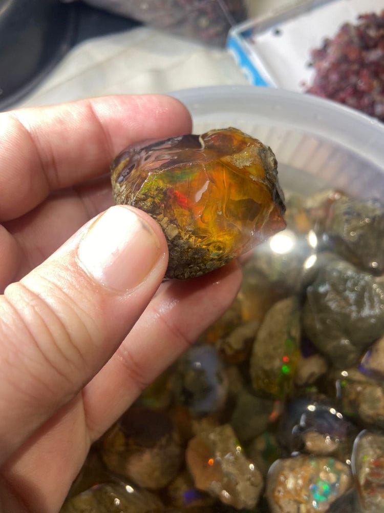 buy hydrophane opal rough