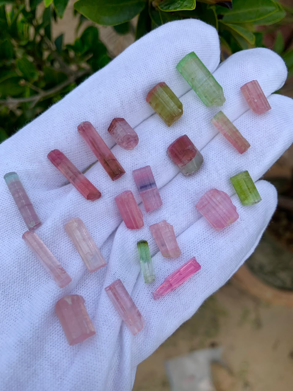 you may like this raw multi colour tourmaline crystals